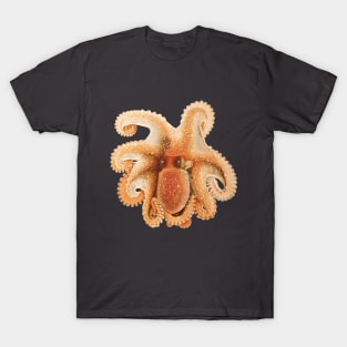 Vintage Octopus Salutii by Giacomo Merculiano T-Shirt